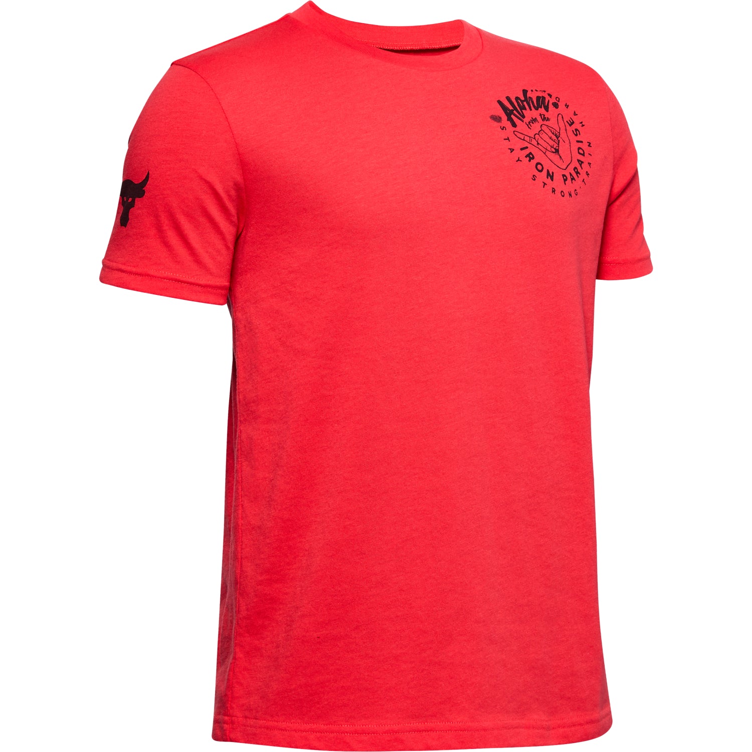 Polera Manga Corta Project Rock Iron Paradise para Niño