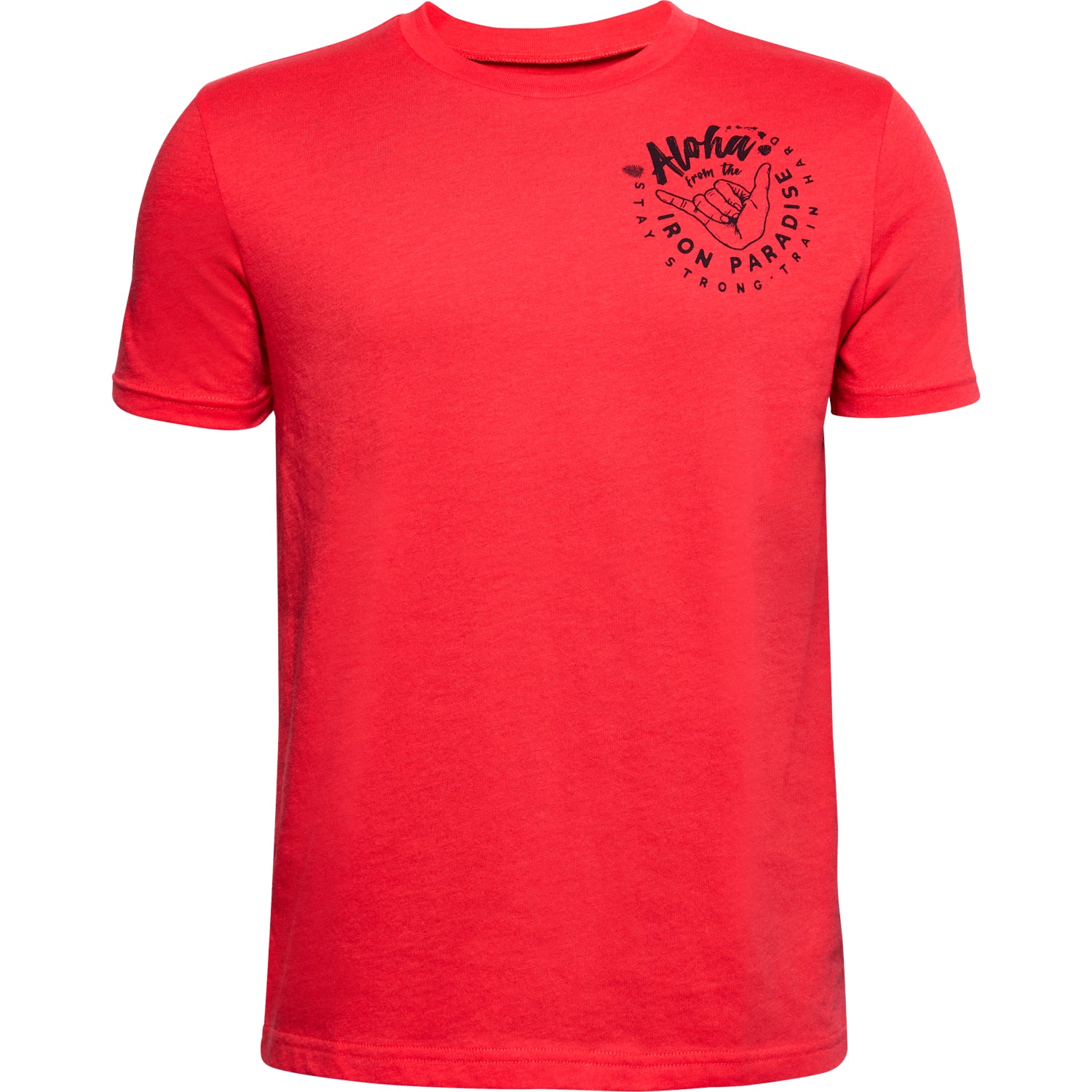 Polera Manga Corta Project Rock Iron Paradise para Niño