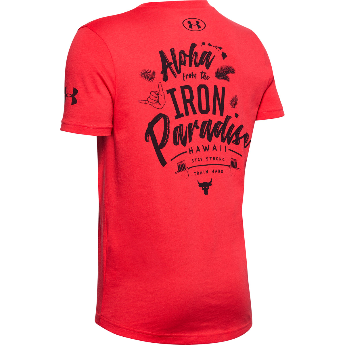 Polera Manga Corta Project Rock Iron Paradise para Niño