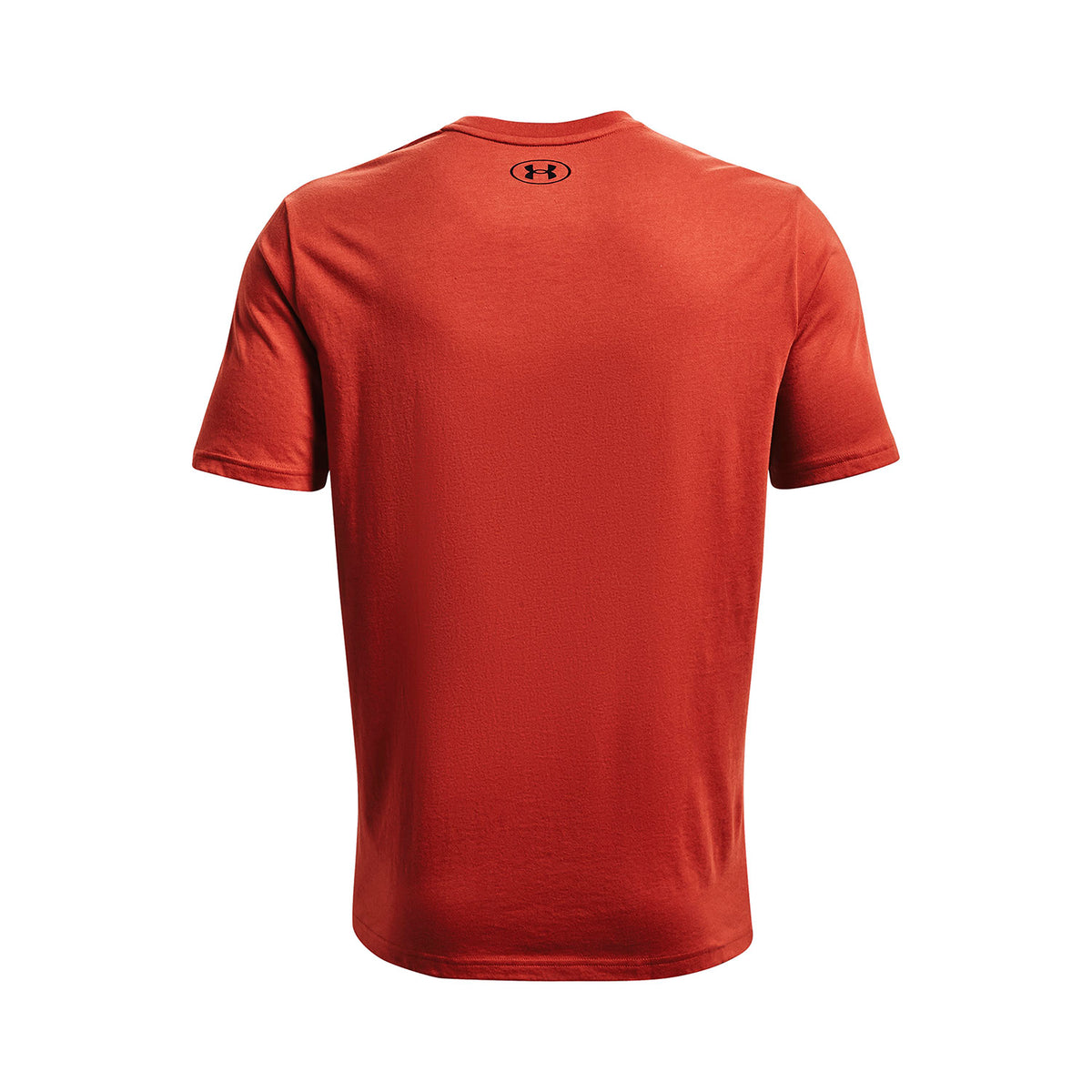 Polera Project Rock BSR Flag para hombre