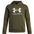 Polerón Lifestyle para niño Rival Fleece Big Logo verde Under Armour