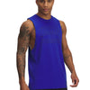 Polera sin mangas Project Rock azul para hombres Under Armour