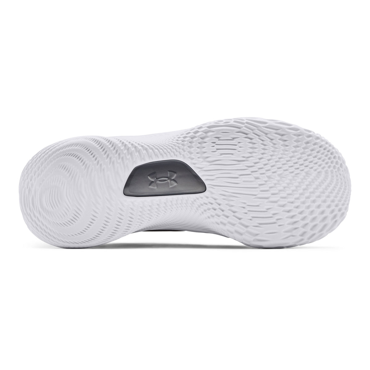 Zapatillas de Basketball Curry 8 Shine-Gry