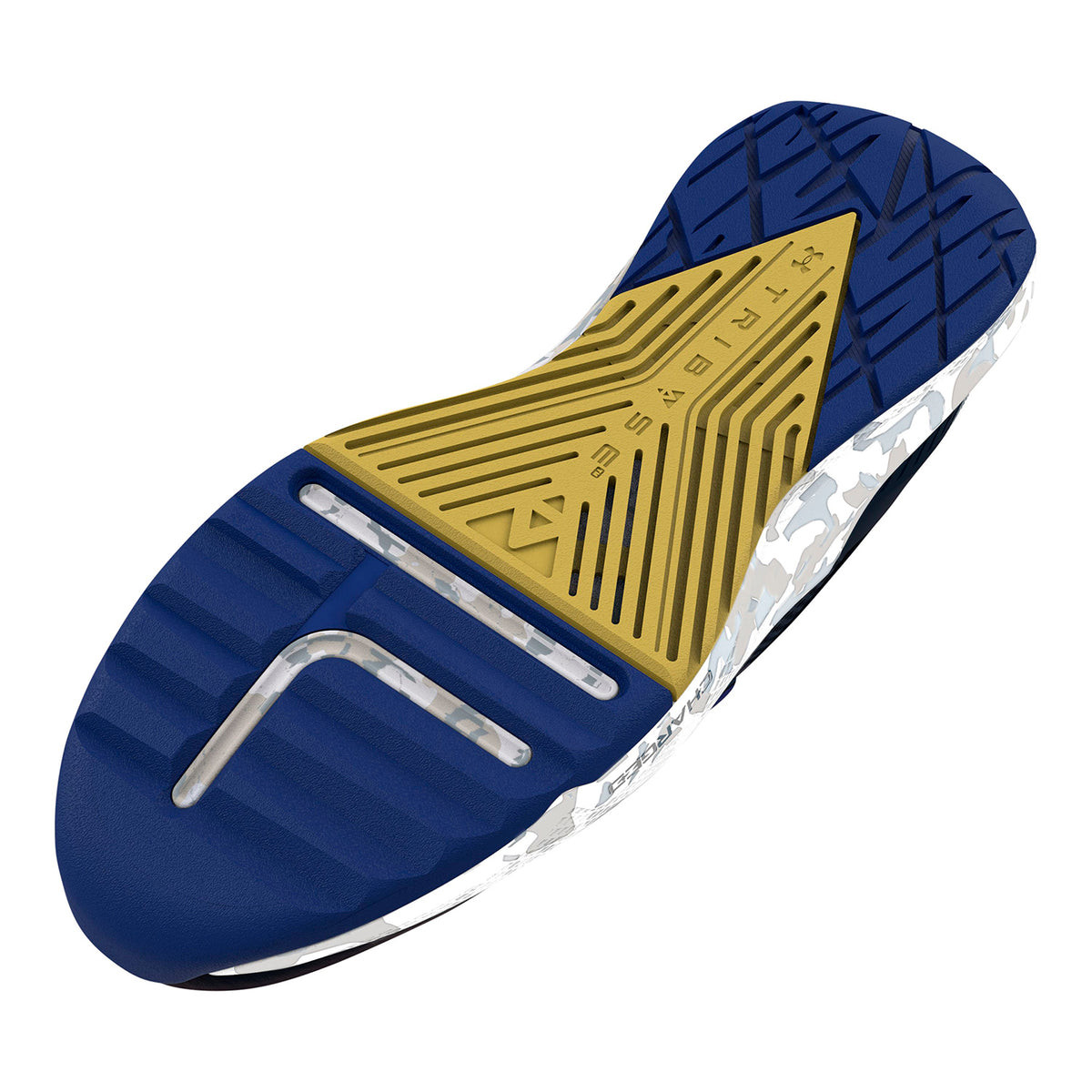 Zapatillas de entrenamiento UA Project Rock BSR 2 Marble Unisex