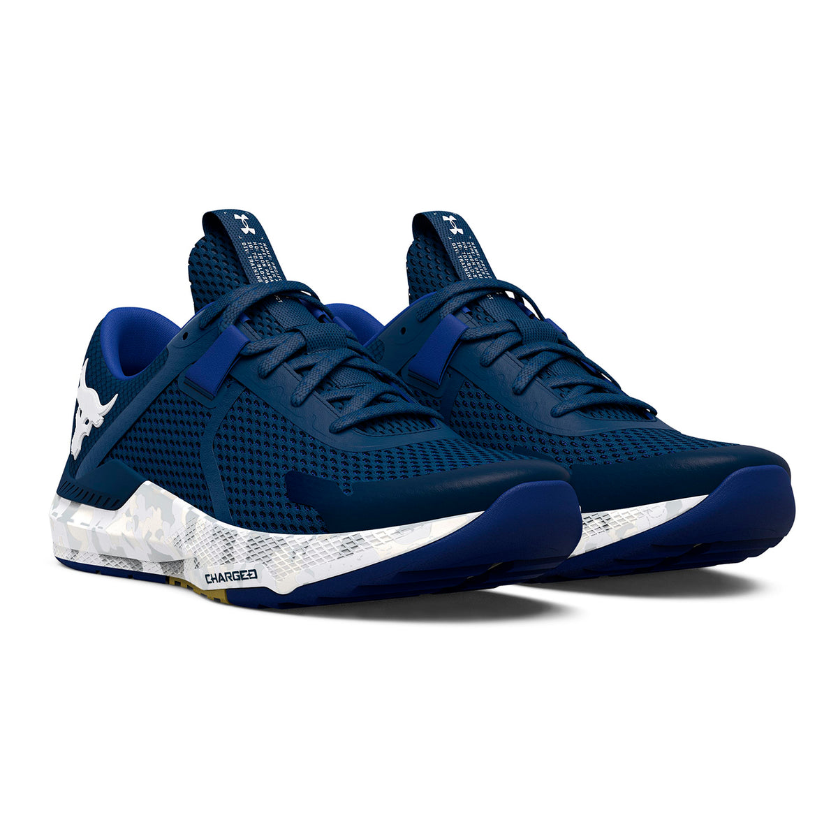 Zapatillas de entrenamiento UA Project Rock BSR 2 Marble Unisex