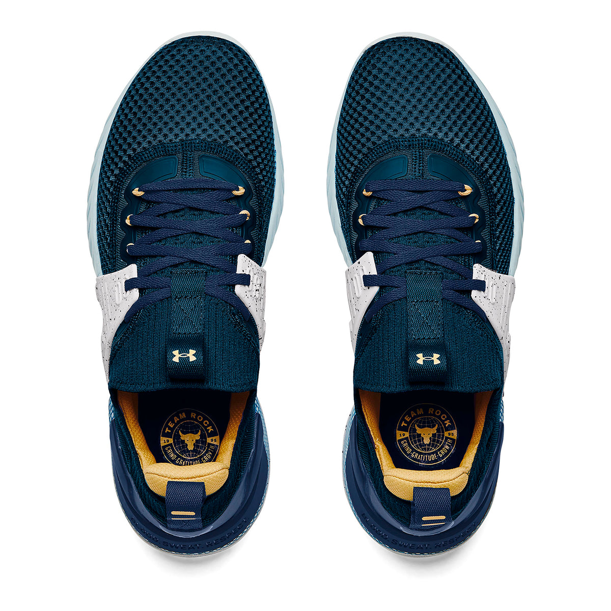 Zapatillas de entrenamiento Project Rock 4 Team Rock para hombre