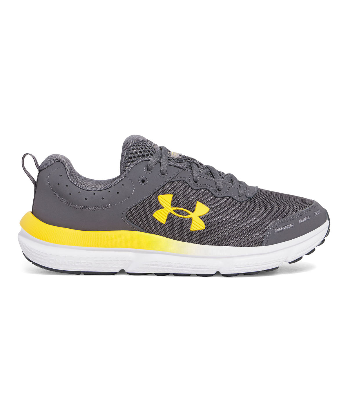 Zapatillas de running Under Armour Charged Assert 10 gris para hombre