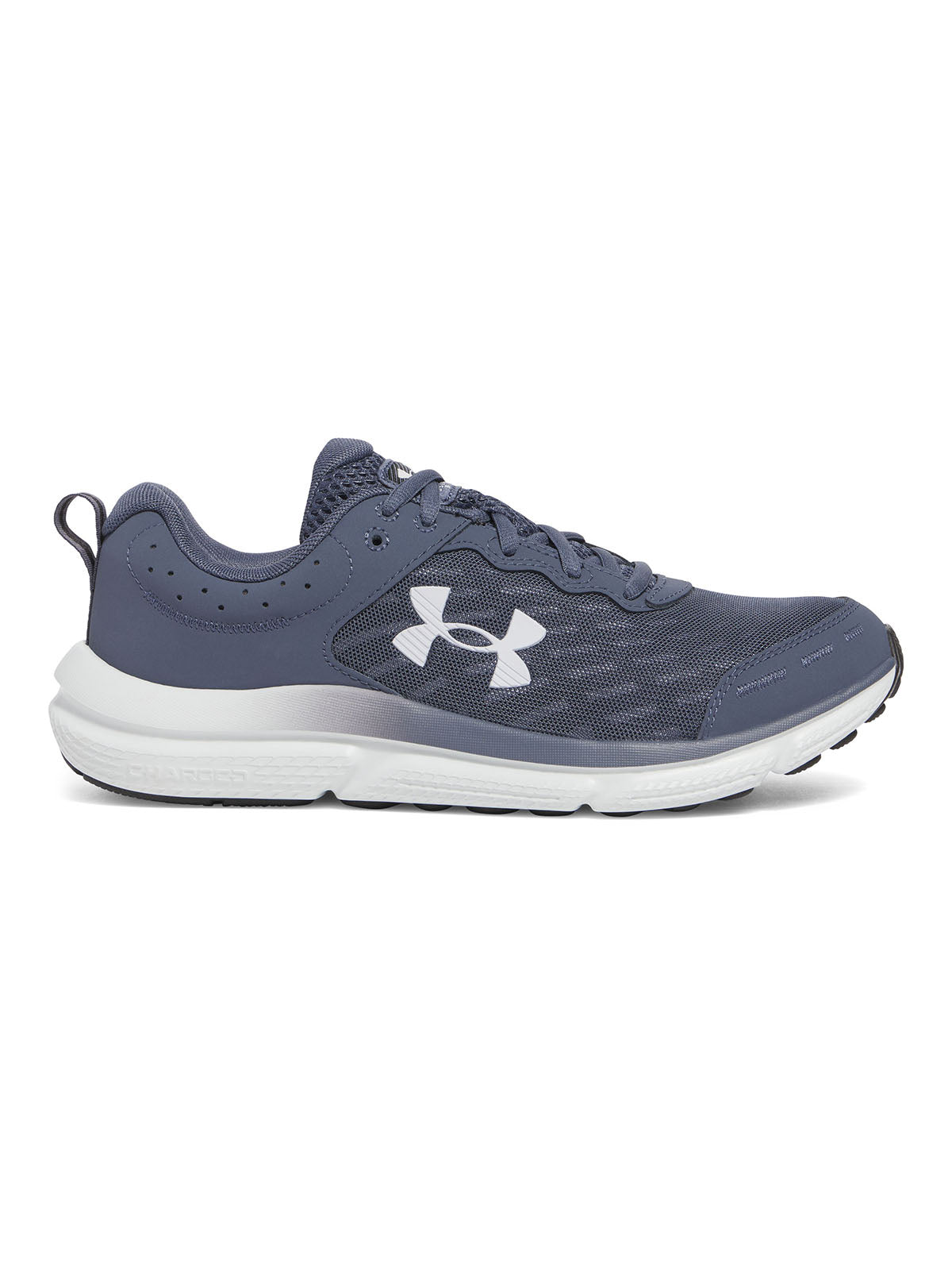 Zapatillas de running Under Armour Charged Assert 10 gris para hombre