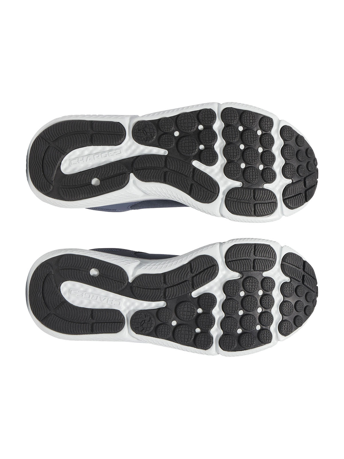 Zapatillas de running Under Armour Charged Assert 10 gris para hombre