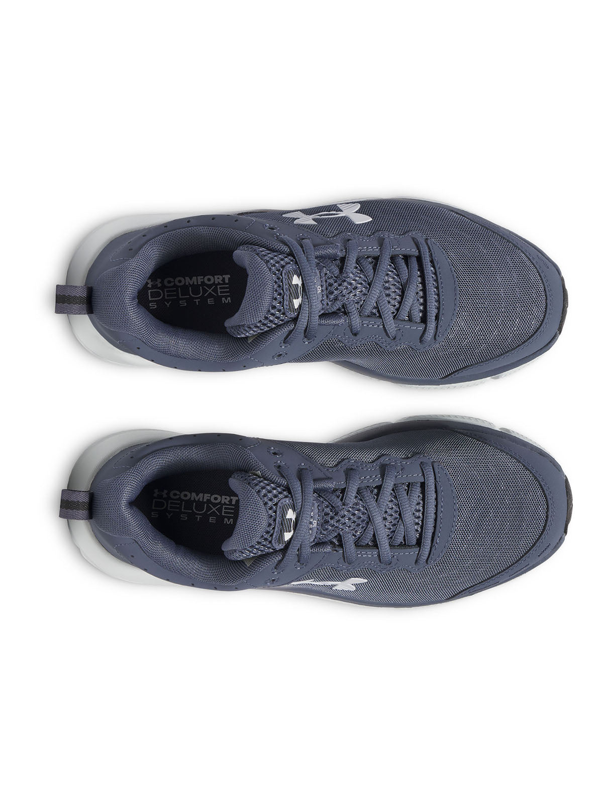 Zapatillas de running Under Armour Charged Assert 10 gris para hombre