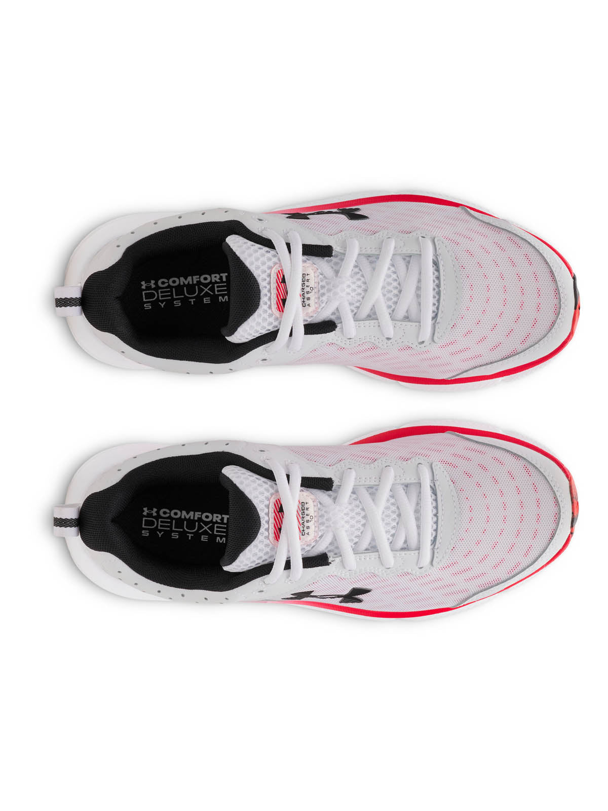 Zapatilla Running para Hombre Charged Assert 10 Blanco Under Armour