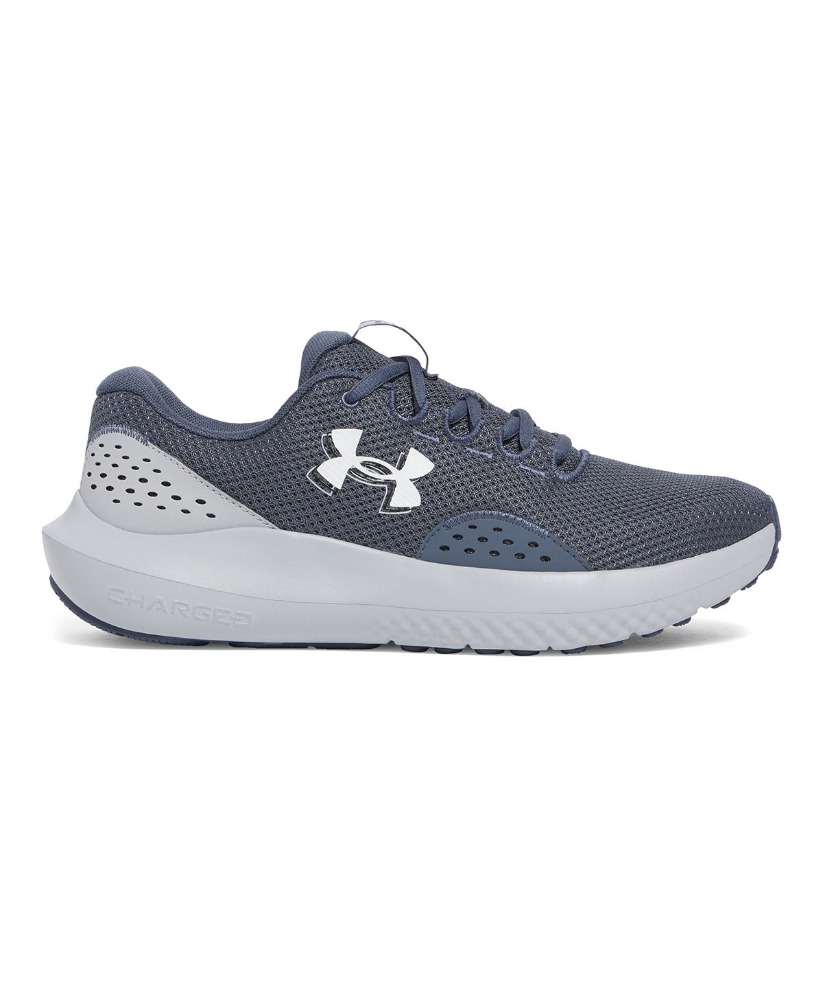 Zapatillas de running Under Armour Surge 4 gris para hombre