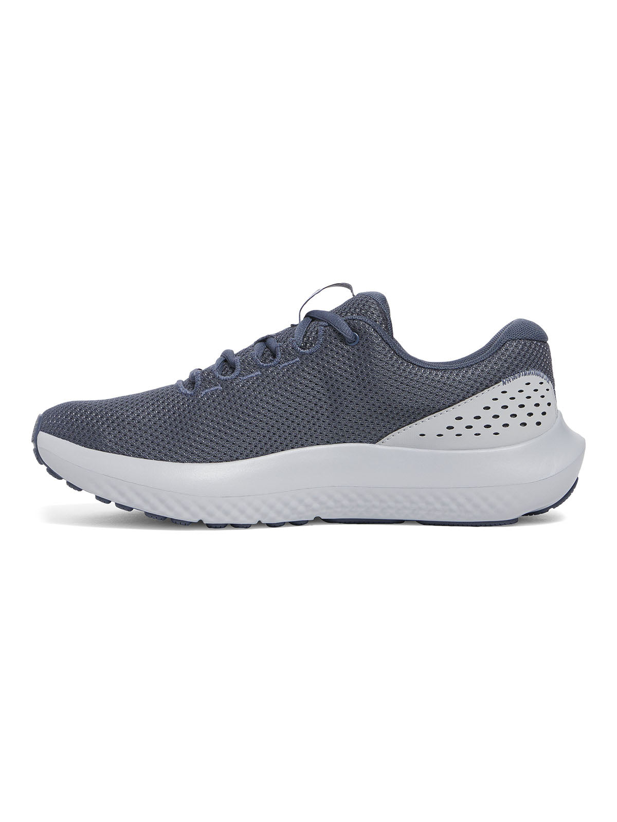 Zapatillas de running Under Armour Surge 4 gris para hombre