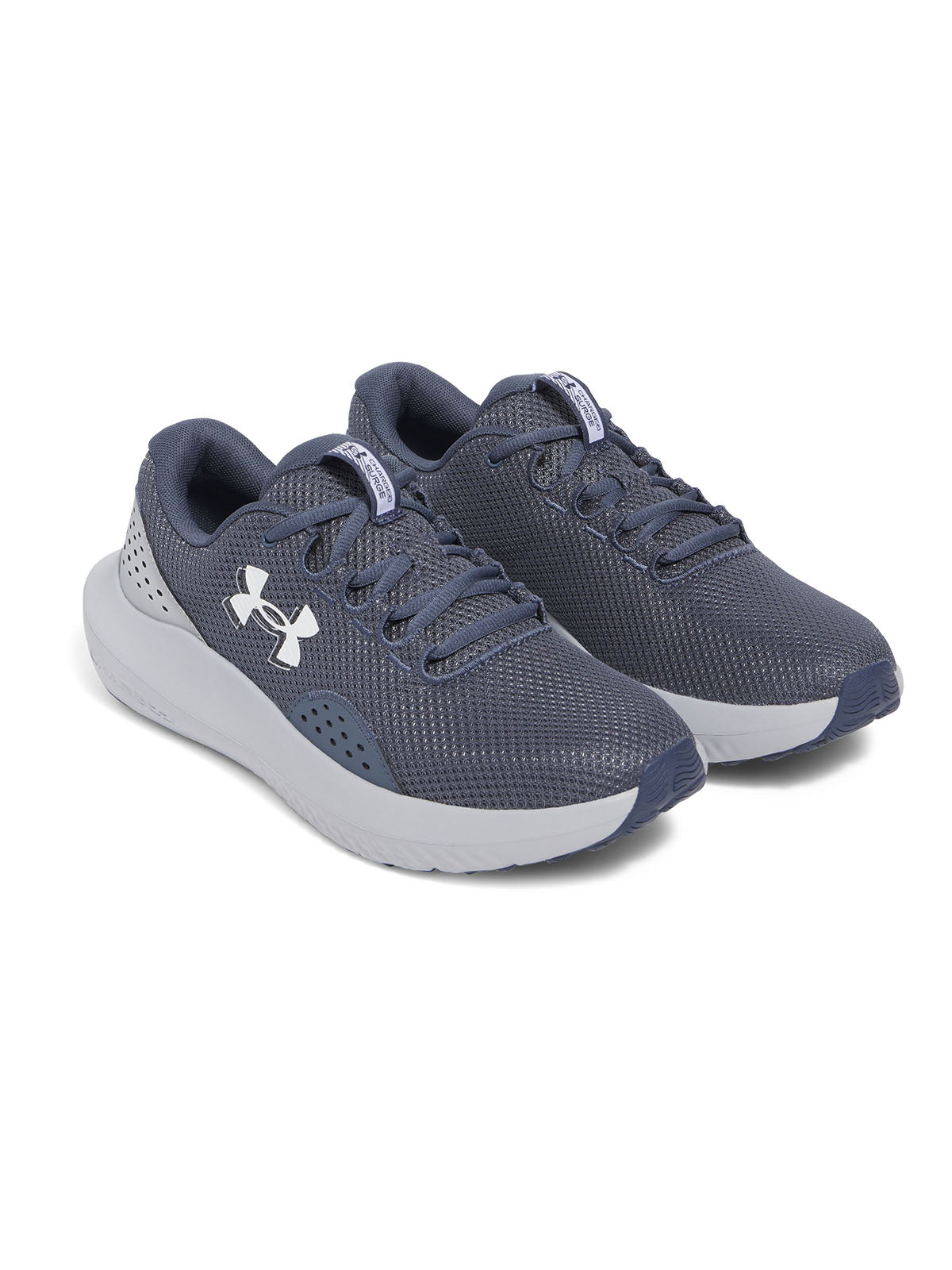 Zapatillas de running Under Armour Surge 4 gris para hombre