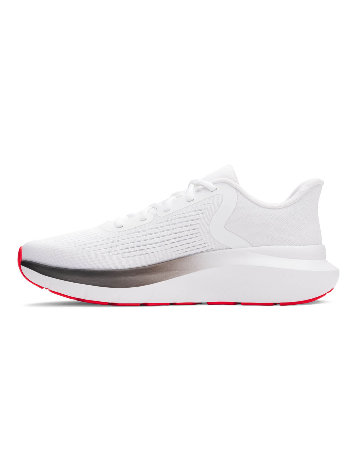 Zapatilla Running para Hombre Rogue 5 Blanco Under Armour