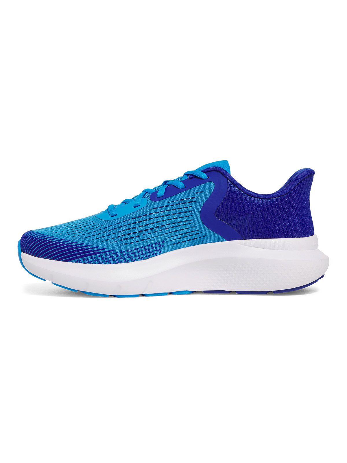 Zapatillas de running Under Armour Rogue 5 azul para hombre
